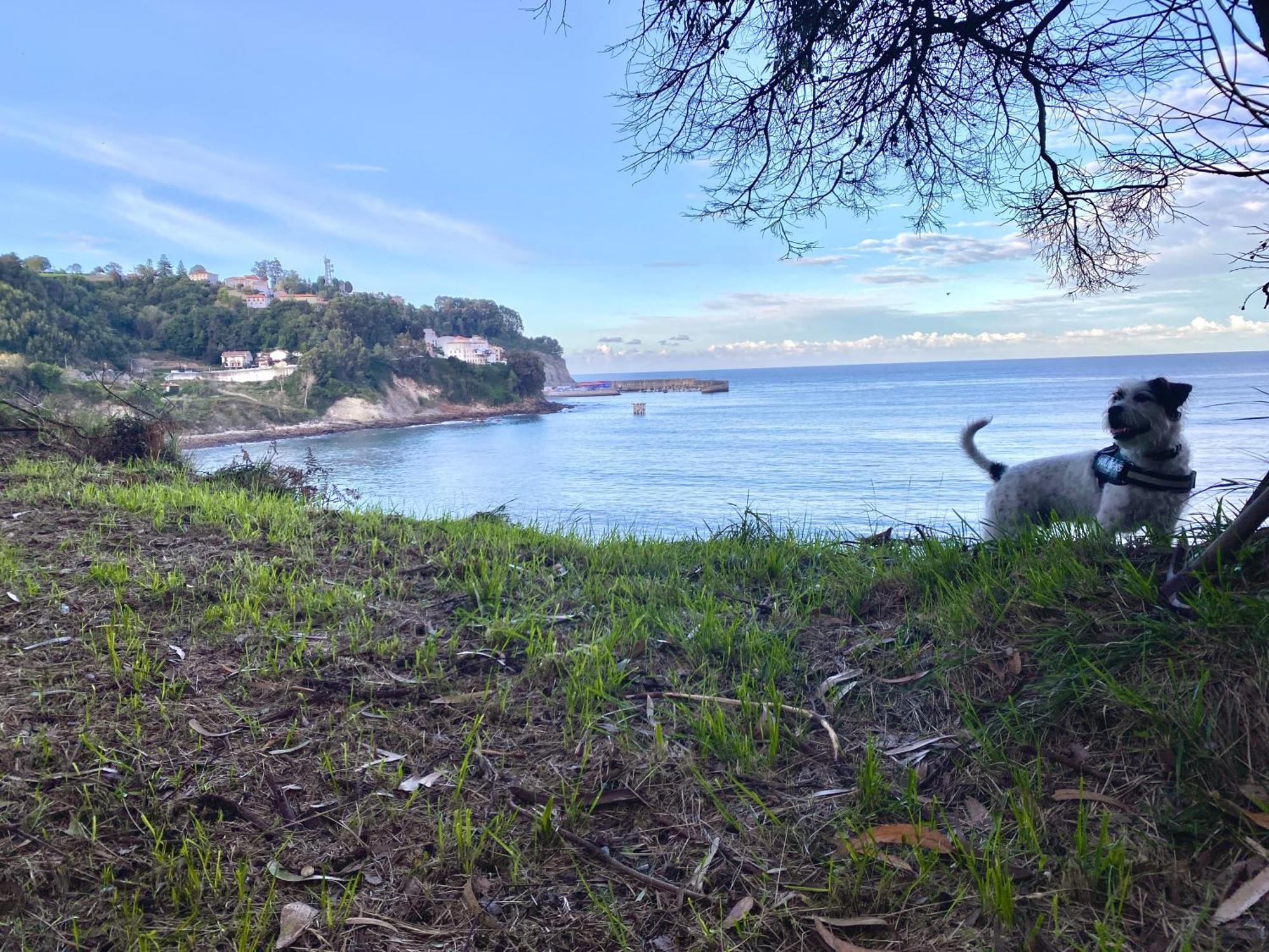 El Apartamentin De Lastres Zewnętrze zdjęcie